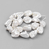 Shell Pearl Beads Strands BSHE-K010-08A-1