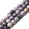 Natural Purple Stripe Jasper Beads Strands G-K350-C03-8mm-2
