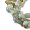 Natural Flower Amazonite Chips Beads Strands X-G-M205-12-01-9