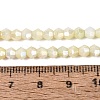 Anti-Tarnish Electroplate Bicone Glass Beads Strands EGLA-T021-4mm-16-14-2