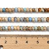 Dyed Natural Imperial Jasper Beads Strands G-P600-A01-01C-5