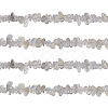 Natural Labradorite Bead Strands G-GL0001-03-1