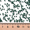 12/0 FGB Grade A Round Glass Seed Beads SEED-N001-A-1029-3