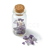 Transparent Glass Wishing Bottle Decoration AJEW-JD00011-03-4