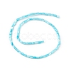 Natural Freshwater Shell Dyed Beads Strands SHEL-M018-12-05-2