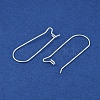 304 Stainless Steel Hoop Earring Findings STAS-P223-01S-04-2