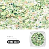 Nail Art Glitter Sequins AJEW-Q033-003B-2