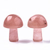 Cherry Quartz Glass GuaSha Stone G-N0325-02R-2