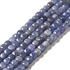 Natural Tanzanite Beads Strands G-I341-03-1