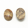 Natural Picture Jasper Cabochons G-R415-14x10-42-2