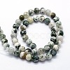 Natural Tree Agate Beads Strands X-G-I199-03-6mm-2