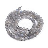 Natural Labradorite Beads Strands X-G-R475-025C-2