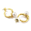 304 Stainless Steel Ring Stud Earrings EJEW-M233-04G-2