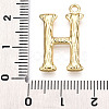 304 Stainless Steel Pendants LS-STAS-N117-01G-H-3