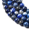 Natural Lapis Lazuli Beads Strands G-G344-A09-4mm-4