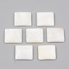 Natural Freshwater Shell Cabochons SHEL-R049-019-1