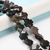 Natural Indian Agate Beads Strands LS-G-K357-C10-01-1