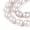 Natural Nucleated Baroque Keshi Pearl Beads Strands PEAR-S020-L18-4