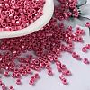 Baking Paint Glass Seed Beads X-SEED-S042-15A-05-1