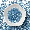 Glass Seed Beads SEED-H002-C-A046-2