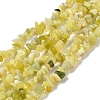 Natural Lemon Jade Chip Bead Strands G-M205-22-2