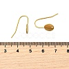 304 Stainless Steel Earring Hooks STAS-B087-09B-G-3