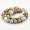 Natural Bamboo Leaf Agate Round Beads Strands G-N0120-12-10mm-2