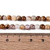 Natural Wood Lace Stone Wooden Jasper Beads Strands G-B128-A04-01-5