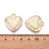 CCB Plastic Pendants CCB-T012-02KCG-3