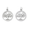 304 Stainless Steel Pendants LS-STAS-T046-JA350-1A-P-2