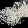 8/0 Transparent Glass Round Seed Beads X-SEED-J010-F8-21-1