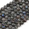 Natural Labradorite Beads Strands G-Z133-A01-10mm-01-2