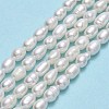 Natural Cultured Freshwater Pearl Beads Strands PEAR-J006-10E-01-2