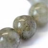 Natural Labradorite Round Bead Strands G-E334-8mm-19-4