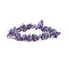 Natural Amethyst Chips Beaded Jewelry Set SJEW-JS01232-03-4