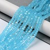 Transparent Glass Beads Strands EGLA-A044-T8mm-MB08-2
