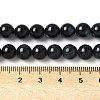 Natural Black Lip Shell Beads Strands SSHEL-C013-01C-4