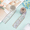 2Rolls 2 Colors Gemstone Chips Iron On Applique Metal Chain Sewing Accessories DIY-PH0002-24-5