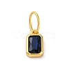 925 Sterling Silver Cubic Zirconia Charms STER-NH0014-01G-10-1