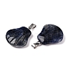 Natural Sodalite Pendants G-T138-208J-2