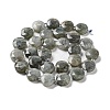 Natural Labradorite Beads Strands G-NH0004-001-3