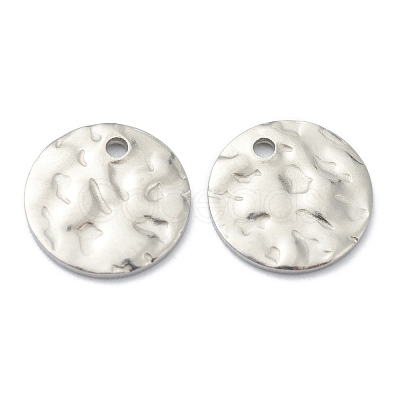 Tarnish Resistant 304 Stainless Steel Charms STAS-H157-03B-P-1