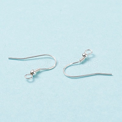 925 Sterling Silver Earring Hooks STER-G011-16-1