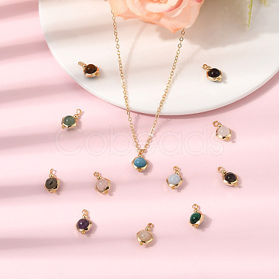 12Pcs 12 Styles Round Natural Mixed Gemstone Charms PALLOY-SW00151-1