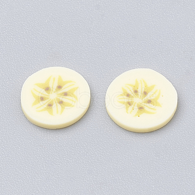 Handmade Polymer Clay Cabochons CLAY-N002-02S-1