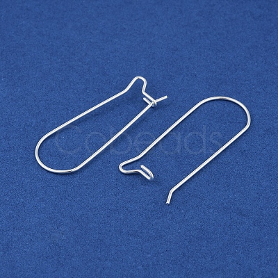 304 Stainless Steel Hoop Earring Findings STAS-P223-01S-04-1