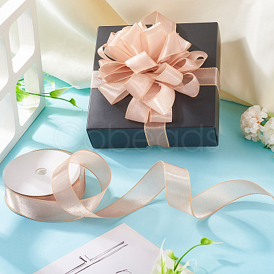 1 Roll Transparent Polyester Ribbon OCOR-TA0002-34C-1