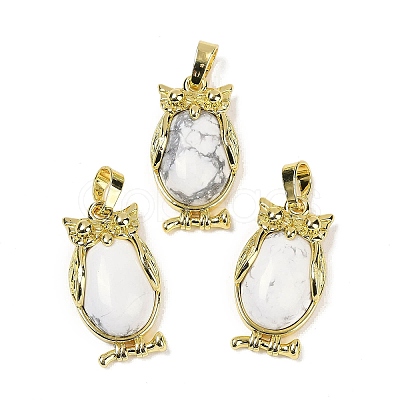 Natural Howlite Pendant KK-F887-02G-06-1