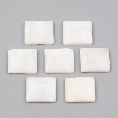 Natural Freshwater Shell Cabochons SHEL-R049-019-1