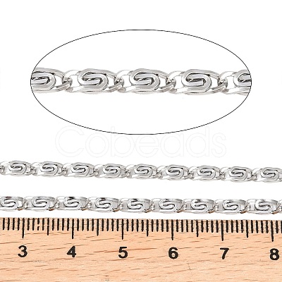 304 Stainless Steel Lumachina Chains CHS-P028-01P-1